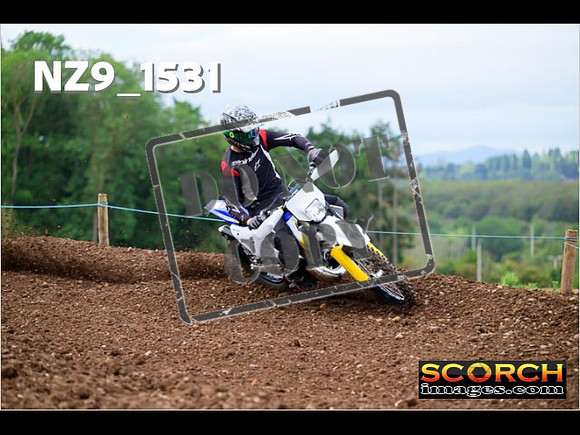 Experts-160
