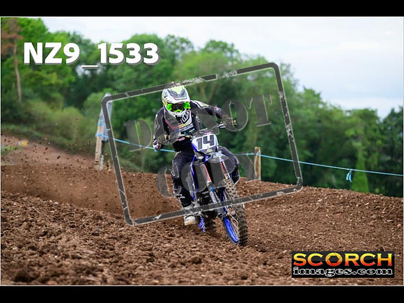 Experts-161