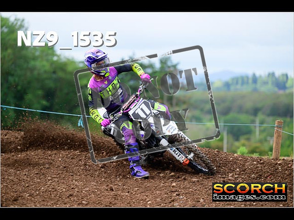 Experts-163