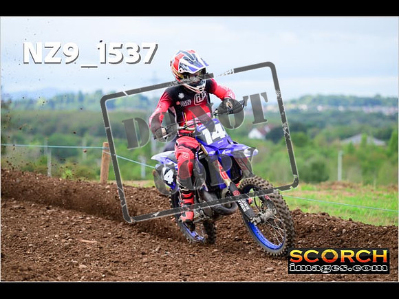 Experts-165
