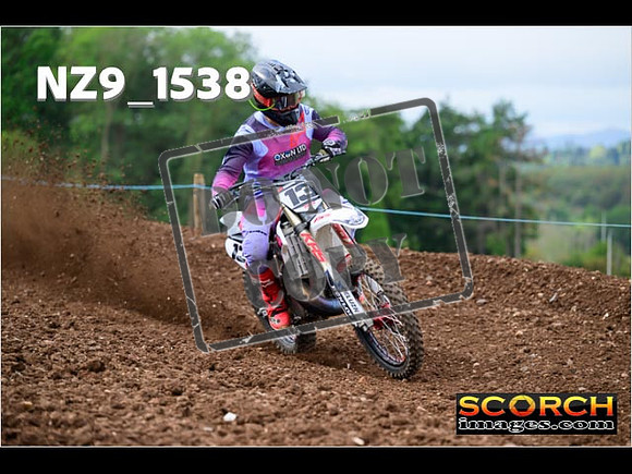 Experts-166