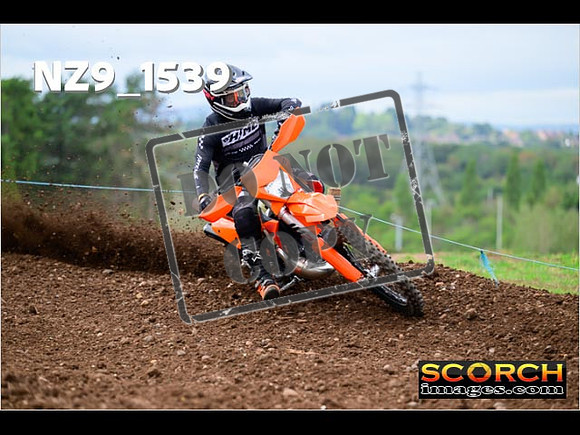 Experts-167
