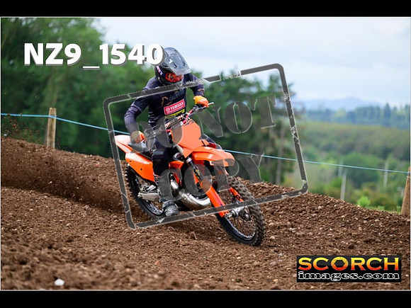 Experts-168