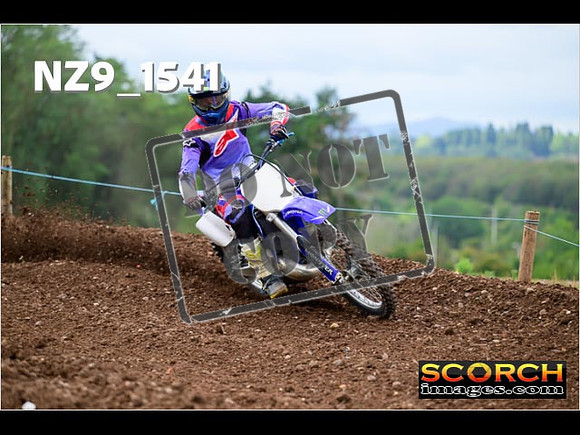 Experts-169