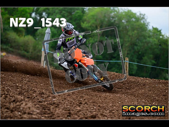 Experts-170