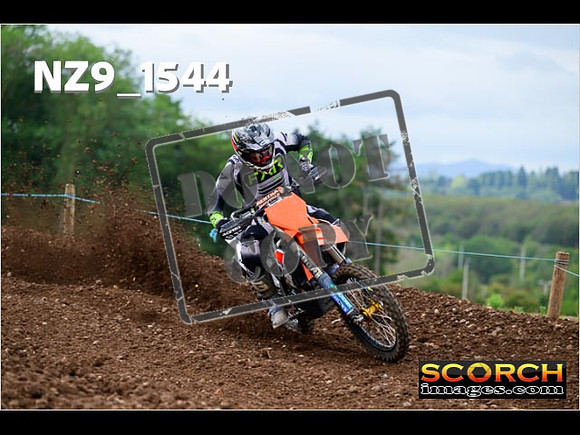 Experts-171