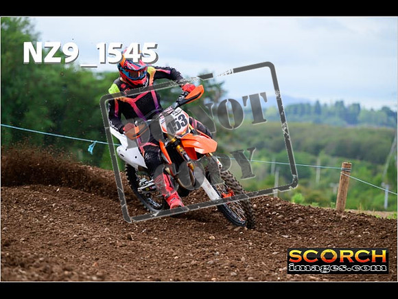Experts-172