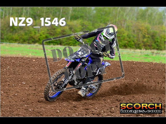 Experts-173