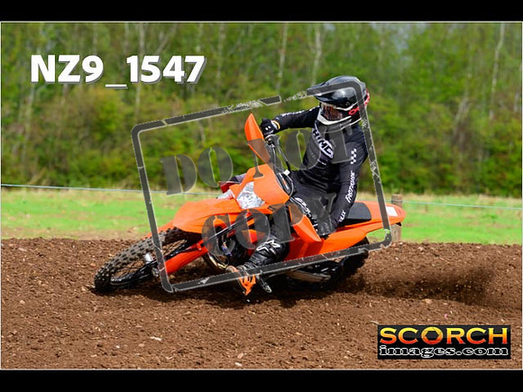 Experts-174