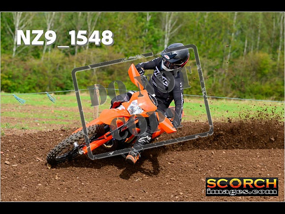 Experts-175