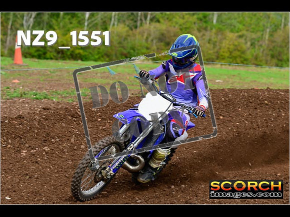 Experts-178