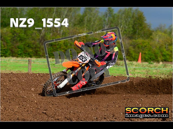 Experts-181