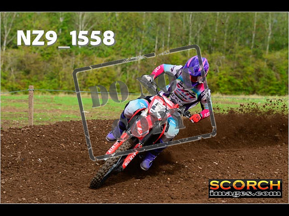 Experts-185