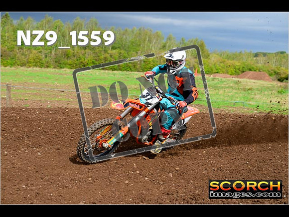 Experts-186
