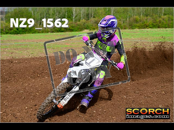 Experts-189