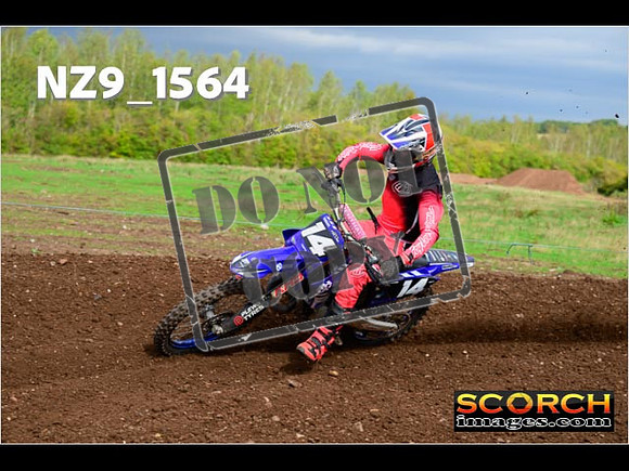 Experts-191