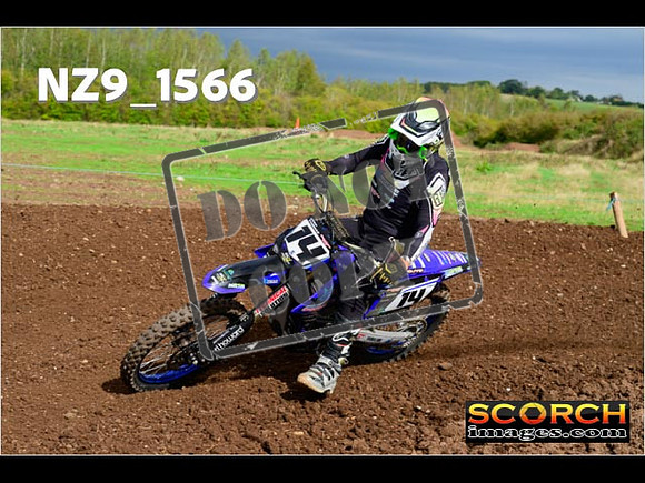 Experts-193