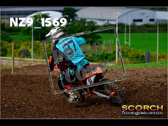 Experts-195
