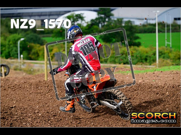 Experts-196