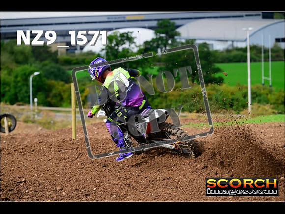 Experts-197