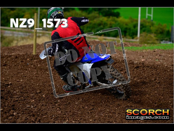 Experts-199