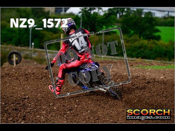 Experts-198