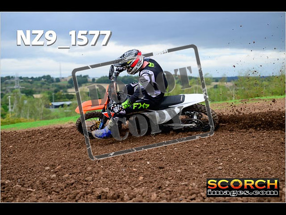 Experts-203