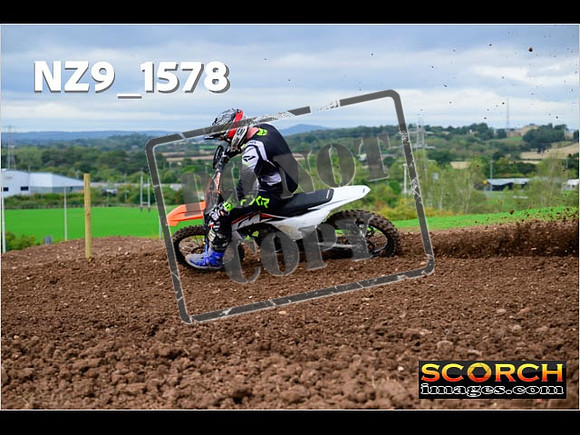 Experts-204