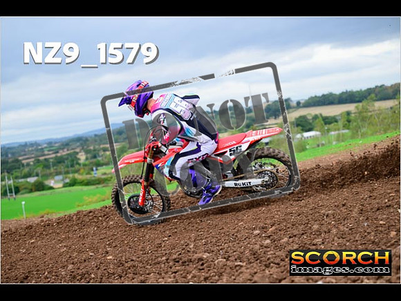 Experts-205