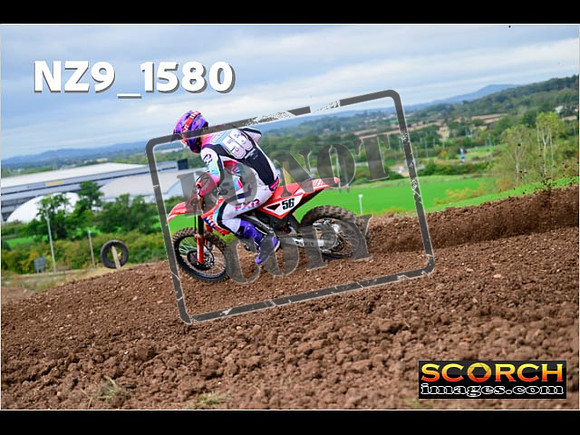 Experts-206
