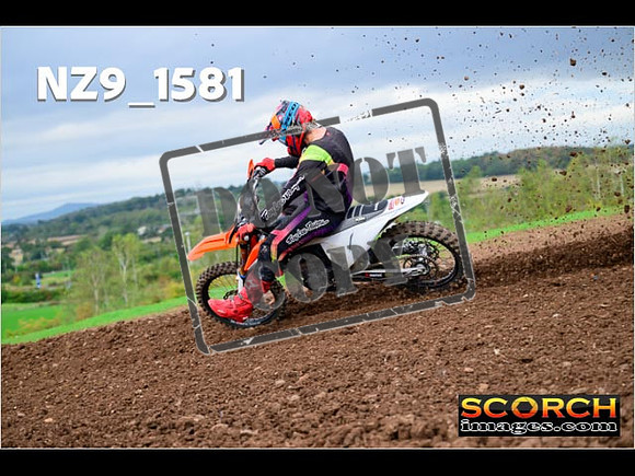 Experts-207