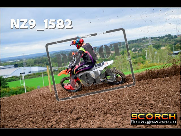 Experts-208