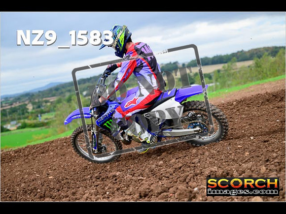 Experts-209