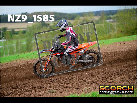 Experts-211