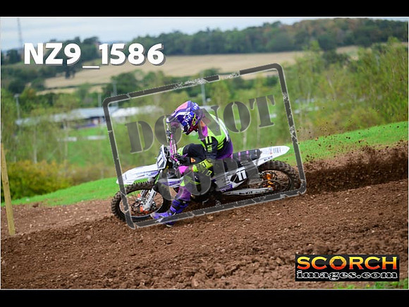 Experts-212