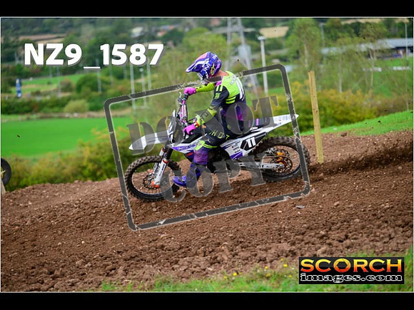 Experts-213