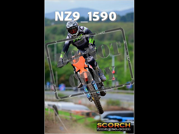 Experts-216