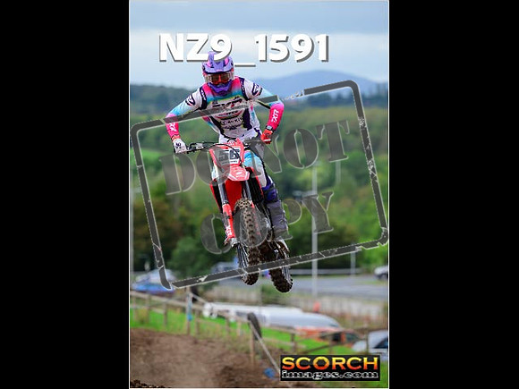 Experts-217