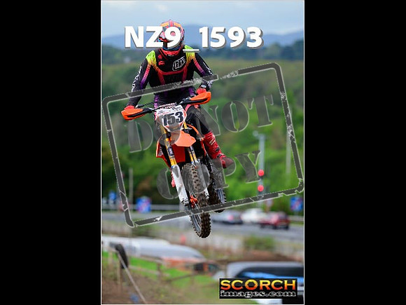 Experts-219
