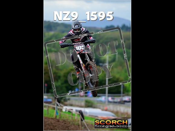 Experts-221