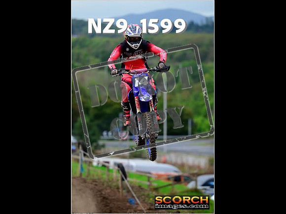 Experts-225