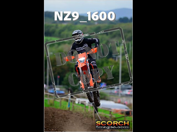 Experts-226