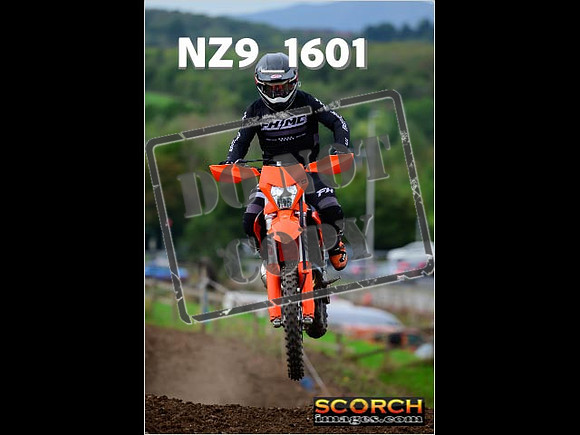 Experts-227