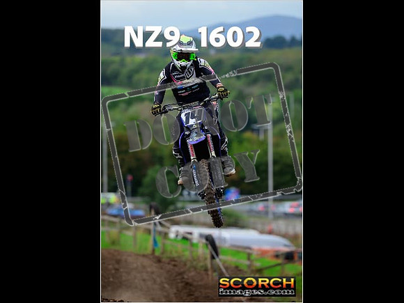 Experts-228