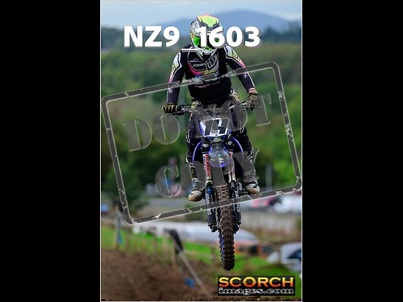 Experts-229