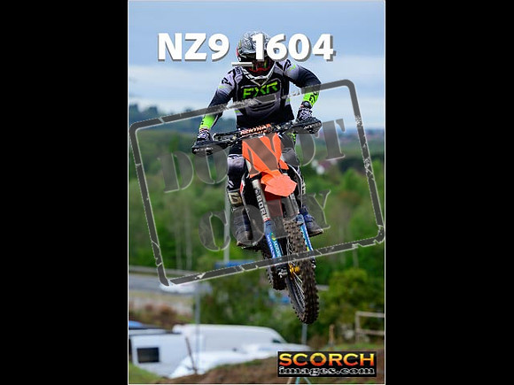 Experts-230