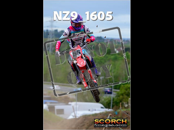 Experts-231