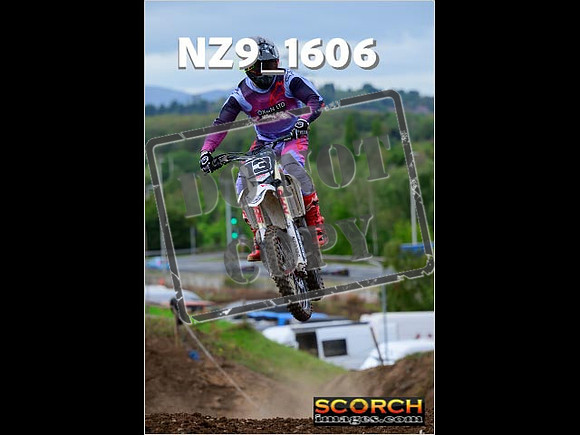 Experts-232