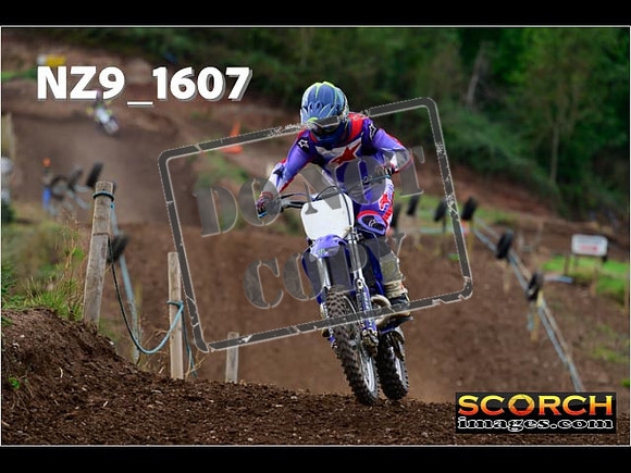 Experts-233