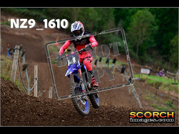 Experts-235